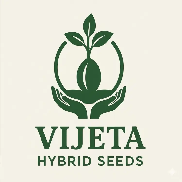 Vijeta Hybrid Seeds Sri Ganganagar Trusted Seed Dealer by Varun Chhabra